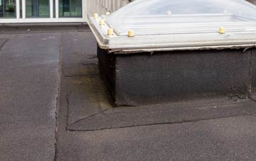 disadvantages of Trowell flat roofs