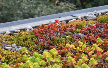 the cost of Trowell green roof installation