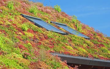 Trowell living roof systems